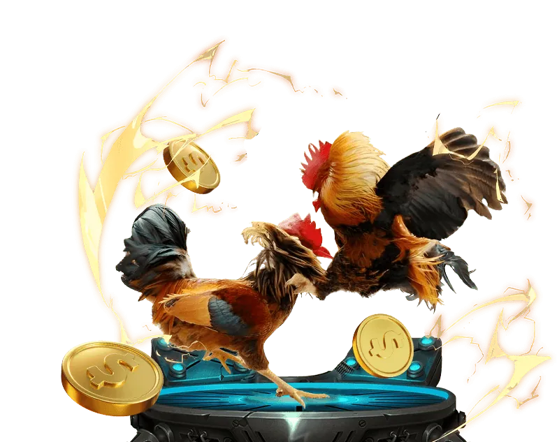 Cá cược thể thao nh88